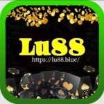 Profile picture of Lu88 blue