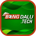 Profile picture of Bongdalu