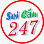 Profile picture of Soi cầu 247