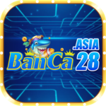 Profile picture of banca28