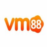 Profile picture of Vm88