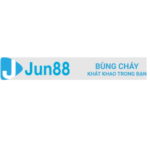 Profile picture of Jun88