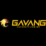 Profile picture of GaVangTV COMMX
