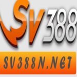 Profile picture of sv388nnet