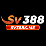 Profile picture of SV388 Me