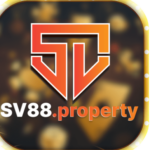 Profile picture of sv88property