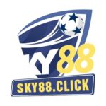 Profile picture of Nhà cái SKY88