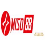 Profile picture of miso88oooo