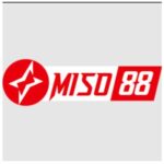 Profile picture of Miso88