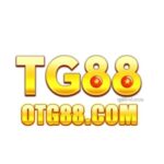 Profile picture of otg88 com