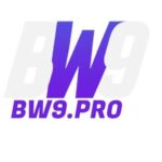 Profile picture of BW9 Pro