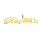 Profile picture of Hay88 Bz