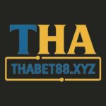 Profile picture of Thabet – Trung Tâm Giải Trí Mạng Hàng Đầu Châu Lục