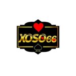 Profile picture of Link Đăng Nhập Nhà Cái Xoso66 Chính Thức 2025