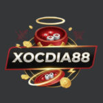 Profile picture of Xocdia88.nyc - Cổng Game Xóc Đĩa Uy Tín Hàng Đầu Việt Nam