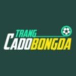 Profile picture of Trangcadobongda7777 Org