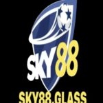Profile picture of SKY88 GLASS