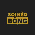 Profile picture of Soikeobongda Cc