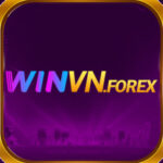 Profile picture of WINVN Nen Tang Ca Cuoc Dau Tu Truc Tuyen Da Dang