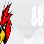 Profile picture of Đá Gà 88 Forum