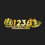 Profile picture of 123B CASINO IO