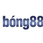 Profile picture of Bong888 Futbol