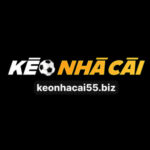 Profile picture of Kèo Nhà Cái 55 Biz