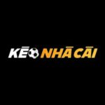 Profile picture of Kèo Nhà Cái 5