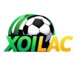 Profile picture of Xoilaclive Org