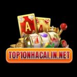 Profile picture of Top10nhacaiin Net