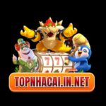 Profile picture of Topnhacaiin Net