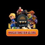 Profile picture of Nhacaitangtienus Org