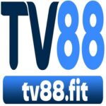 Profile picture of TV88