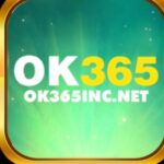 Profile picture of OK365 INCNET