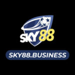 Profile picture of Sky88