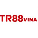 Profile picture of TR88 VINA