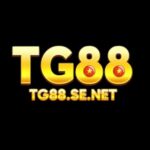 Profile picture of TG88 SENET