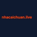 Profile picture of nhacaichuan live