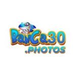 Profile picture of banca30 photos