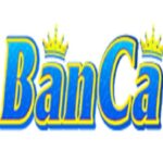 Profile picture of Nhà cái BANCA30