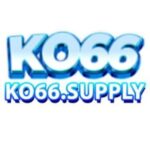 Profile picture of ko66supply