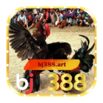 Profile picture of BJ388