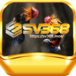 Profile picture of SV368