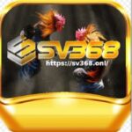 Profile picture of SV368