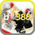 Profile picture of Nhà cái BJ388