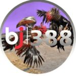 Profile picture of Nhà cái BJ388