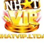 Profile picture of Nhatvip ltda