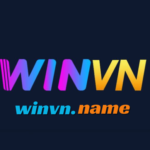 Profile picture of Winvn