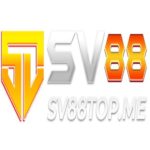 Profile picture of SV88