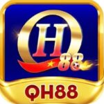 Profile picture of QH88